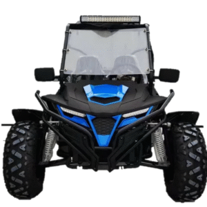 CAD BUGGY 2025 MODEL