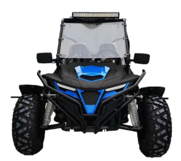 CAD BUGGY 2025 MODEL