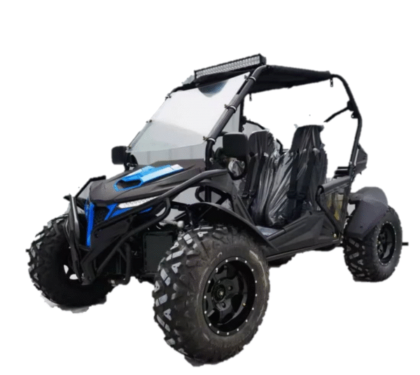 CAD BUGGY 2025 MODEL - Image 2