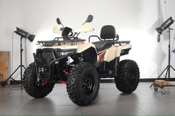 DIVE 350CC 2025 ATV - Image 2