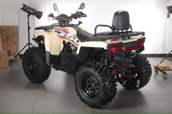 DIVE 350CC 2025 ATV - Image 4